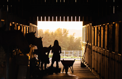 Stables