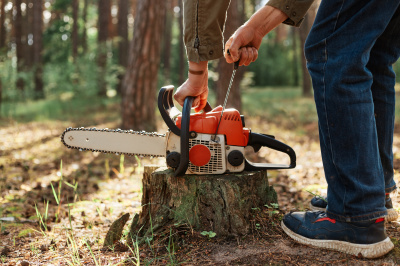 Tree Felling