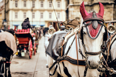 Horse Drawn Hearse