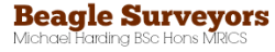 Beagle Surveyors Logo