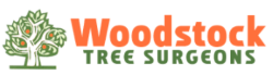 Woodstock Tree Suregoen Logo