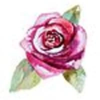 Wkdi Gardening Services Logo