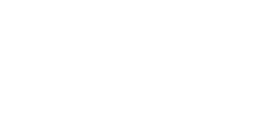 Action Plumbing Logo