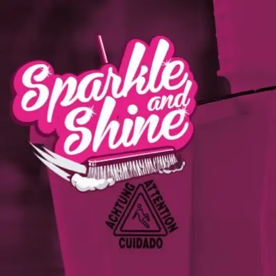 Sparkle and Shine Logo