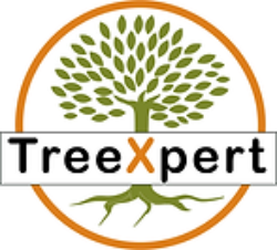 TreeXpert Tree Care Logo