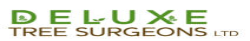 Deluxe Tree Surgeons Logo