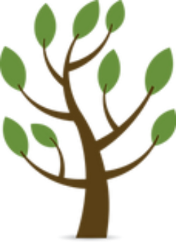 Green Canopy Tree Specialists Ltd Logo