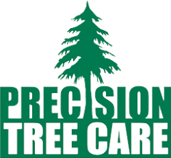 Precision Tree Care Logo