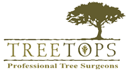 TreeTops Tree Surgeons Logo