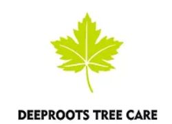 Deeproots Tree Care Logo