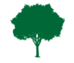 AceTreeServices Logo