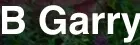 B Garry garden services Logo