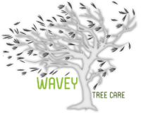 Wavey Tree Care Logo