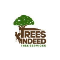 Trees Indeed Ltd Logo
