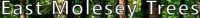 East Molsey Trees Logo
