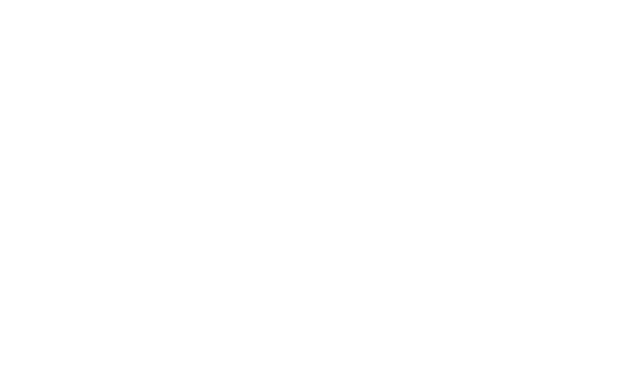 W B S Accountants Logo