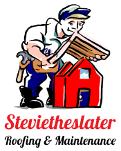 Stevie the Slater Logo