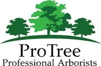 ProTree Professional Arborists Logo