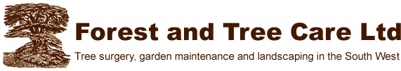 Forest and Tree Care Ltd