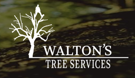 Walton's Tree Services Logo