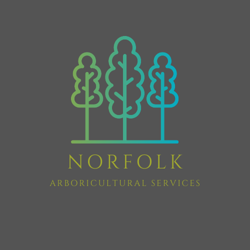Norfolk Arboricultural Services Logo
