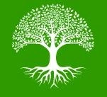 Blackdown Treescapes