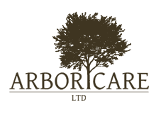 Arboricare Ltd Logo