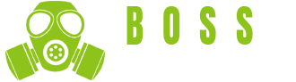 Boss Renovations Logo