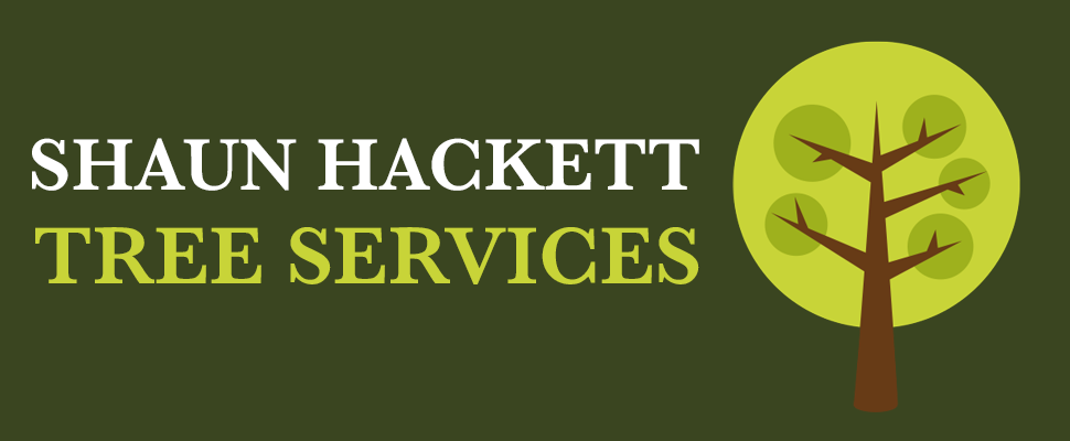 Shaun Hackett Tree Services