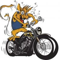 Rusty Nuts Restorations And Renovations