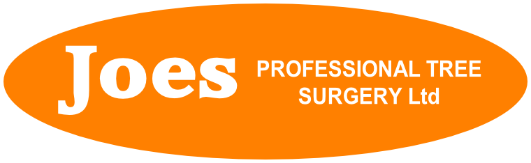 Joes Professional Tree Surgery Ltd Logo