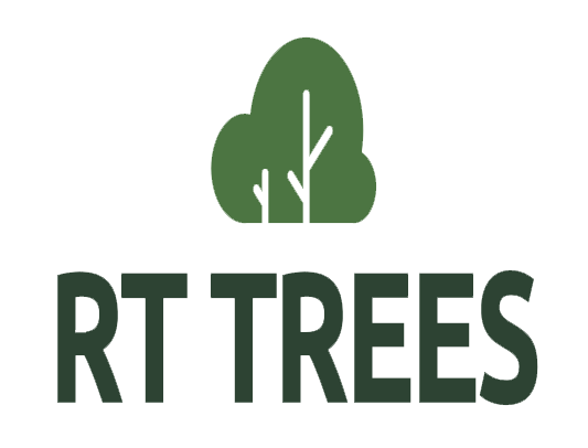 RT Trees Logo