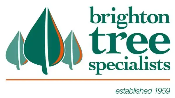 Brighton Tree Specialists Logo