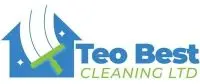 TEO Best Cleaning Logo