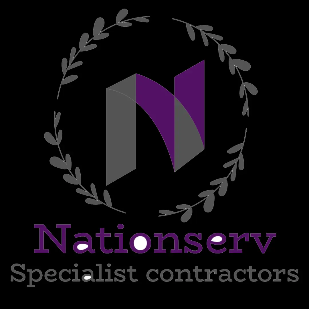 Nationserv Logo