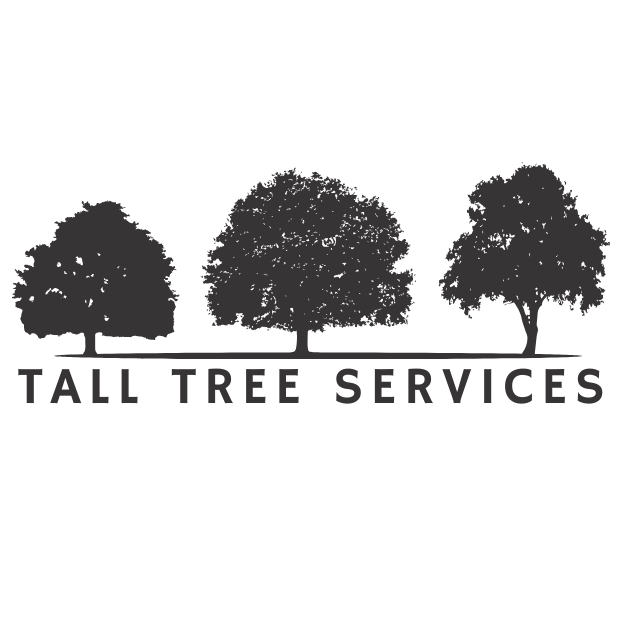 Tall Tree Services