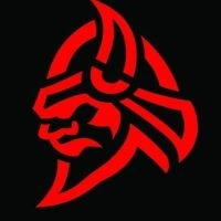 Viking Fabrication and Design Logo