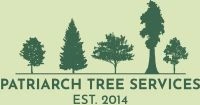 Patriarch Tree Services Logo