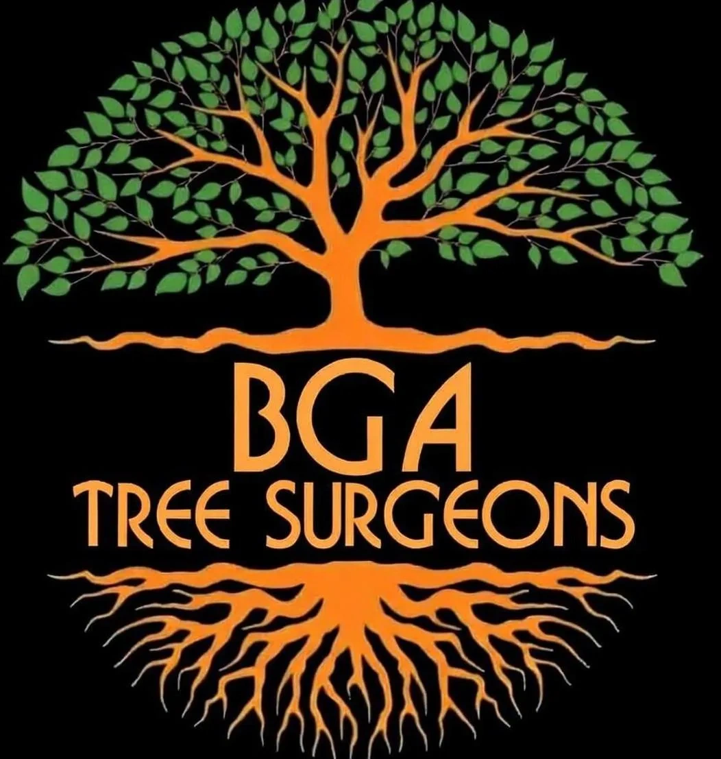 BGA Tree Surgeons