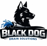 Black Dog Drain Solutions