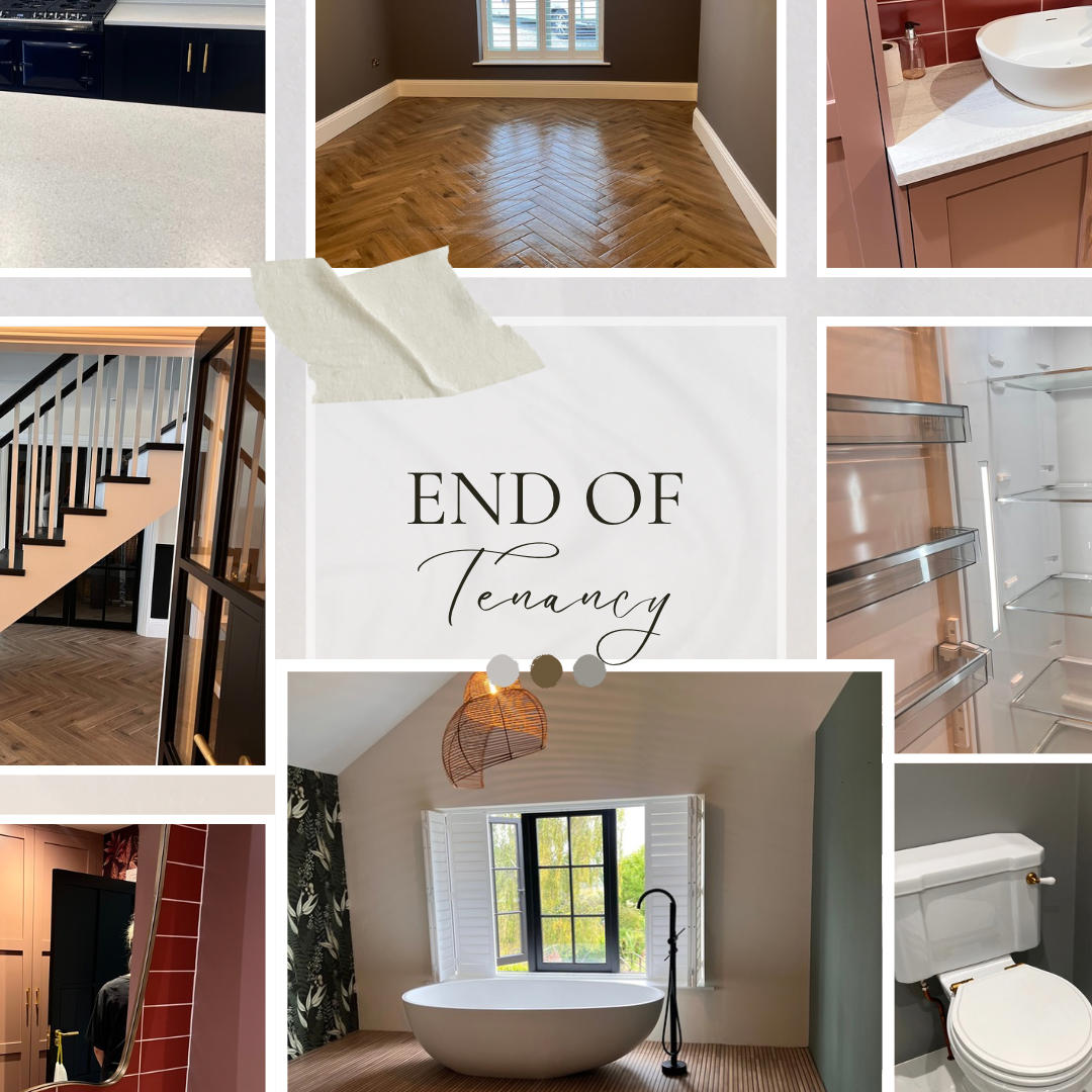 Fresh daisy cleaning