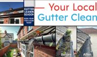 The gutter guy Logo