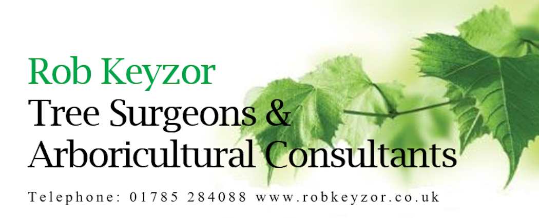 Rob Keyzor Tree Surgeons & Arboricultural Consultants Ltd Logo