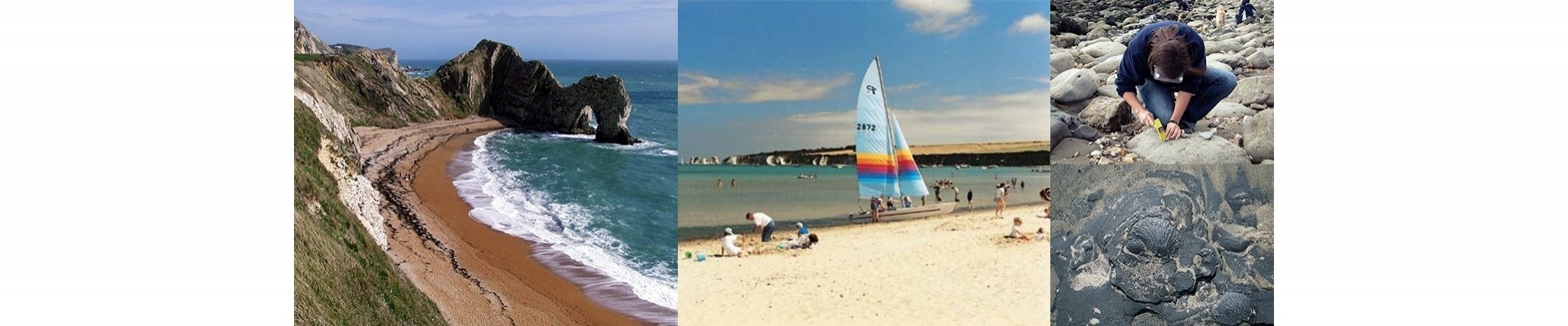 Jurassic Coast, wonderful beaches, fossil hunting, Castles, coastal and streamside country walks.